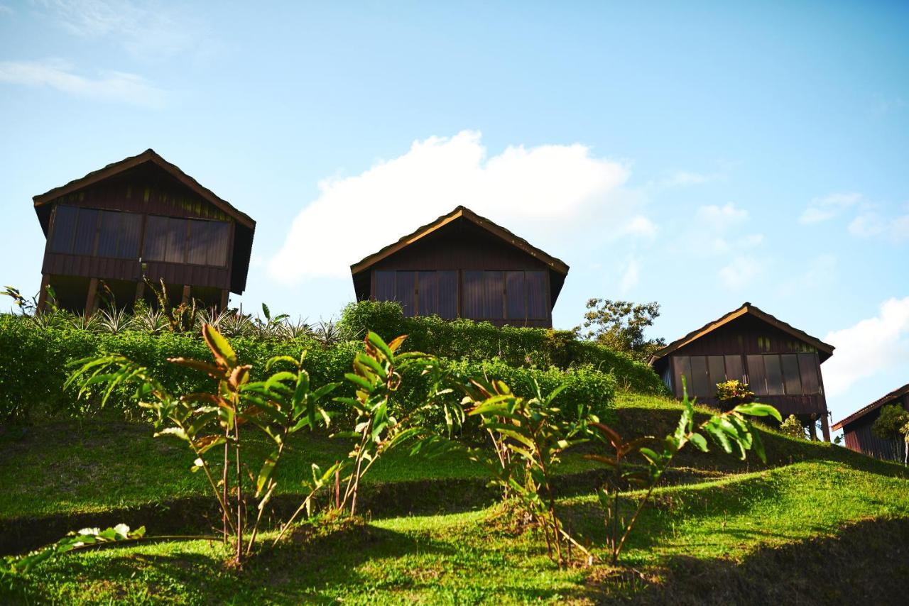 Arenal Roca Lodge La Fortuna Kültér fotó